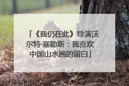 《我仍在此》导演沃尔特·塞勒斯：我喜欢中国山水画的留白