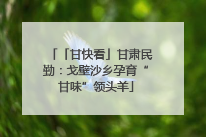「甘快看」甘肃民勤：戈壁沙乡孕育“甘味”领头羊