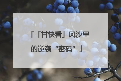 「甘快看」风沙里的逆袭“密码”