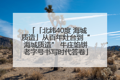 「北纬40度 海城质造」从百年灶台到“海城质造” 牛庄馅饼老字号书写时代答卷