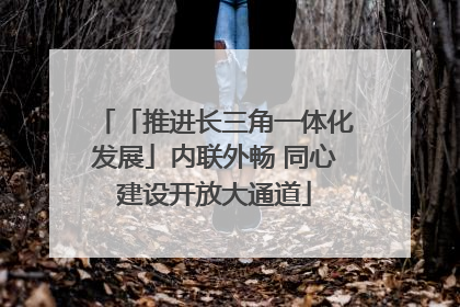 「推进长三角一体化发展」内联外畅 同心建设开放大通道