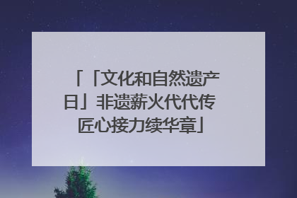 「文化和自然遗产日」非遗薪火代代传 匠心接力续华章