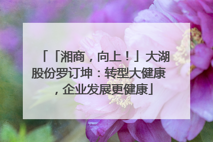 「湘商，向上！」大湖股份罗订坤：转型大健康，企业发展更健康