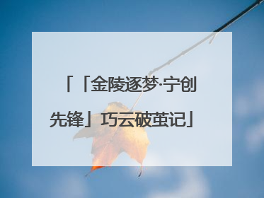 「金陵逐梦·宁创先锋」巧云破茧记