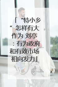 “特小乡”怎样有大作为 刘亭：有为政府和有效市场相向发力