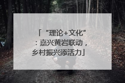 “理论+文化”：嘉兴黄岩联动，乡村振兴添活力