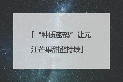 “种质密码”让元江芒果甜蜜持续