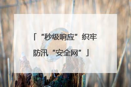 “秒级响应”织牢防汛“安全网”