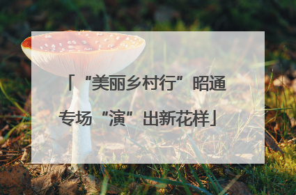 “美丽乡村行”昭通专场“演”出新花样
