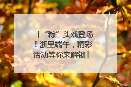 “粽”头戏登场！浙里端午，精彩活动等你来解锁