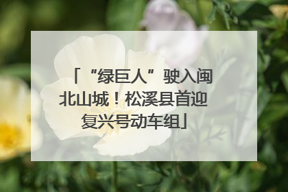 “绿巨人”驶入闽北山城！松溪县首迎复兴号动车组