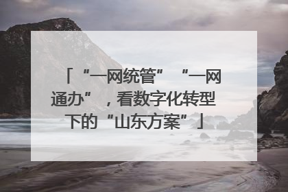 “一网统管”“一网通办”，看数字化转型下的“山东方案”