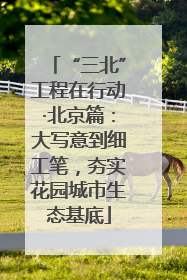 “三北”工程在行动·北京篇：大写意到细工笔，夯实花园城市生态基底