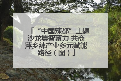 “中国辣都”主题沙龙集智聚力 共商萍乡辣产业多元赋能路径（图）