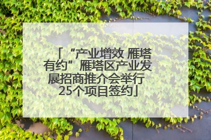 “产业增效 雁塔有约”雁塔区产业发展招商推介会举行 25个项目签约