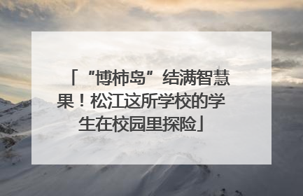 “博柿岛”结满智慧果！松江这所学校的学生在校园里探险