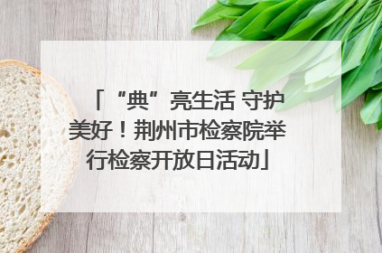 “典”亮生活 守护美好！荆州市检察院举行检察开放日活动