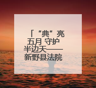 “典”亮五月 守护半边天——新野县法院开展普法宣传活动
