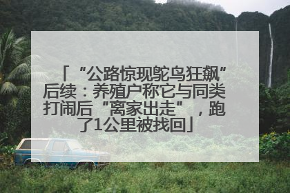 “公路惊现鸵鸟狂飙”后续：养殖户称它与同类打闹后“离家出走”，跑了1公里被找回
