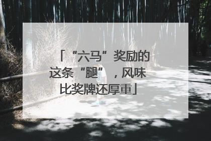 “六马”奖励的这条“腿”，风味比奖牌还厚重