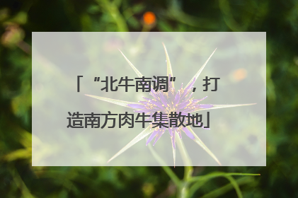 “北牛南调”，打造南方肉牛集散地
