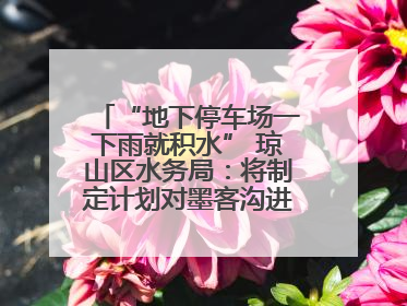 “地下停车场一下雨就积水” 琼山区水务局：将制定计划对墨客沟进行雨污分流