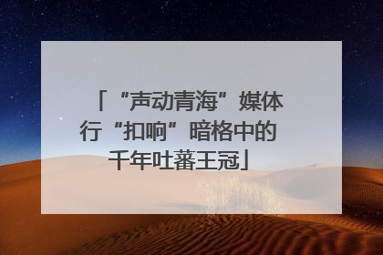 “声动青海”媒体行“扣响”暗格中的千年吐蕃王冠
