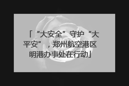 “大安全”守护“大平安”，郑州航空港区明港办事处在行动