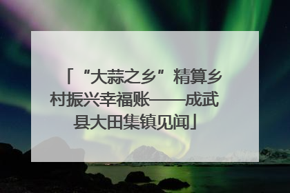 “大蒜之乡”精算乡村振兴幸福账——成武县大田集镇见闻