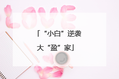 “小白”逆袭大“盈”家