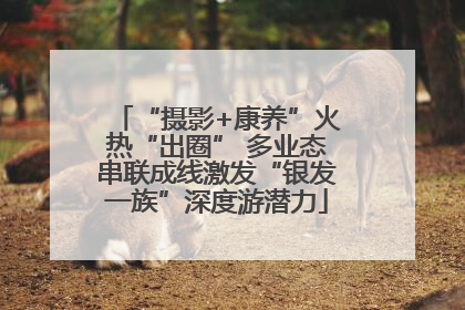 “摄影+康养”火热“出圈” 多业态串联成线激发“银发一族”深度游潜力