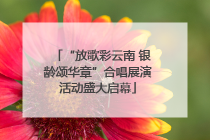 “放歌彩云南 银龄颂华章”合唱展演活动盛大启幕