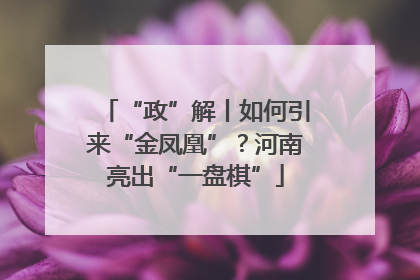 “政”解丨如何引来“金凤凰”？河南亮出“一盘棋”