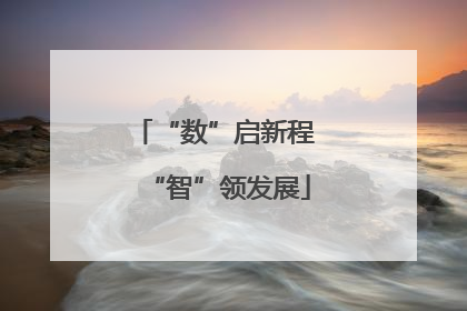 “数”启新程 “智”领发展