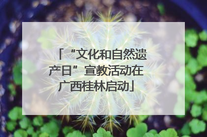 “文化和自然遗产日”宣教活动在广西桂林启动