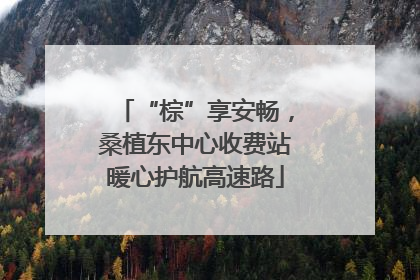 “棕”享安畅，桑植东中心收费站暖心护航高速路