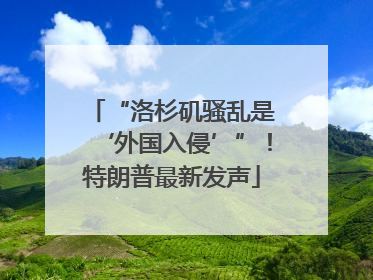 “洛杉矶骚乱是‘外国入侵’”！特朗普最新发声