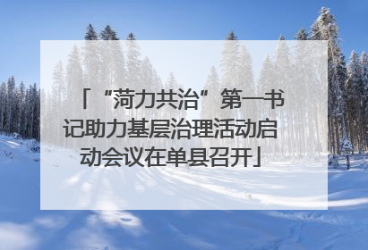 “菏力共治”第一书记助力基层治理活动启动会议在单县召开