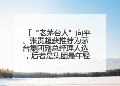 “老茅台人”向平、张贵超获推荐为茅台集团副总经理人选，后者是集团最年轻党委委员