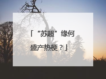 “苏超”缘何盛产热梗？