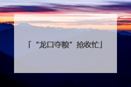 “龙口夺粮”抢收忙