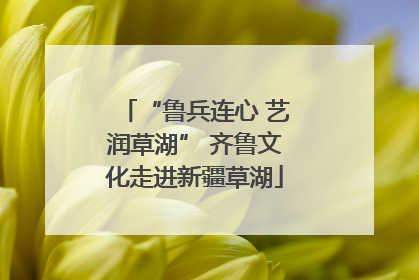 “鲁兵连心 艺润草湖” 齐鲁文化走进新疆草湖