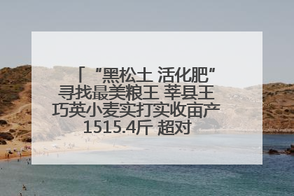 “黑松土 活化肥”寻找最美粮王 莘县王巧英小麦实打实收亩产1515.4斤 超对照田144斤！