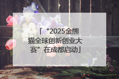“2025金熊猫全球创新创业大赛”在成都启动