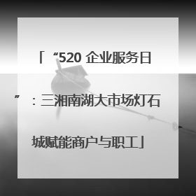 “520 企业服务日”：三湘南湖大市场灯石城赋能商户与职工
