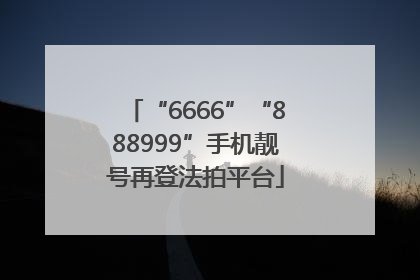 “6666”“888999”手机靓号再登法拍平台