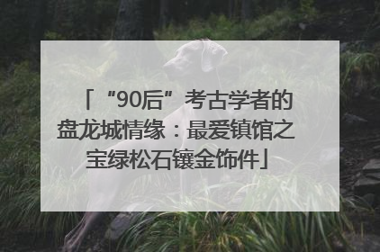 “90后”考古学者的盘龙城情缘：最爱镇馆之宝绿松石镶金饰件