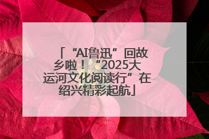 “AI鲁迅”回故乡啦！“2025大运河文化阅读行”在绍兴精彩起航