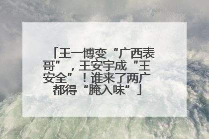 王一博变“广西表哥”，王安宇成“王安全”！谁来了两广都得“腌入味”