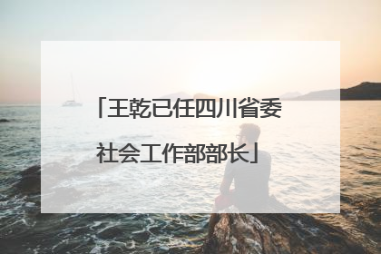 王乾已任四川省委社会工作部部长